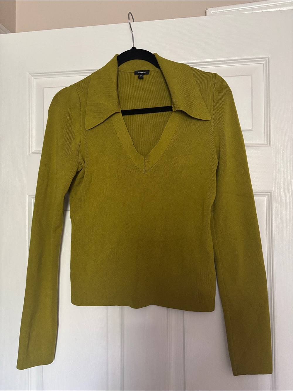 Express Olive V-Neck Long Sleeve Sweater